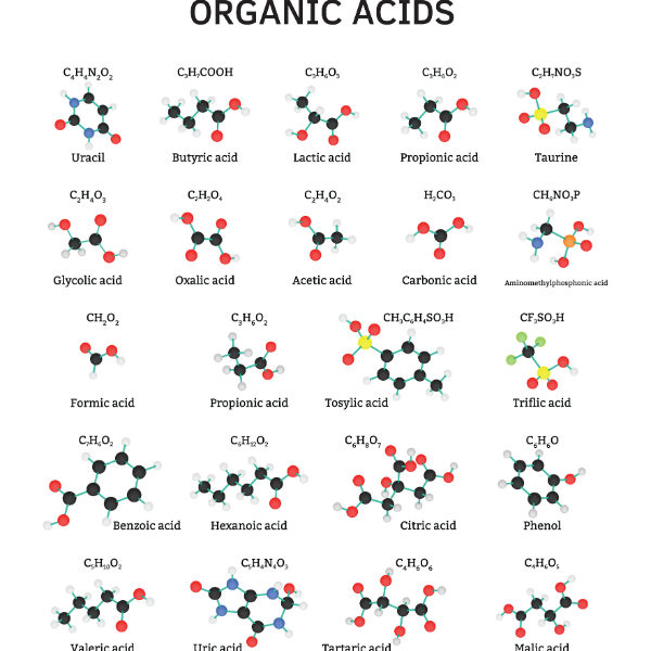 organic acids | organic acid test | perpetual wellbeing