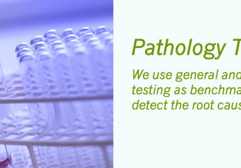 naturopath brisbane using pathology testing