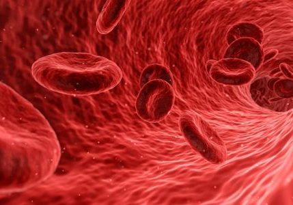 red blood cells | pyroluria or pyrrole disorder treatment plan | Perpetual Wellbeing