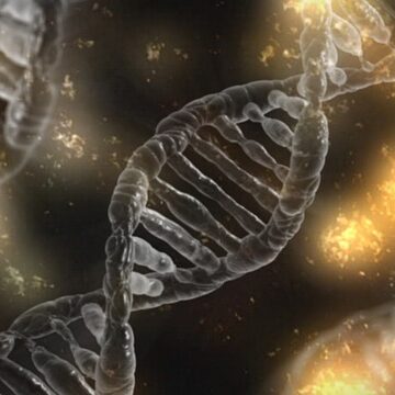 dna cell, helix | mthfr test | perpetual Wellbeing
